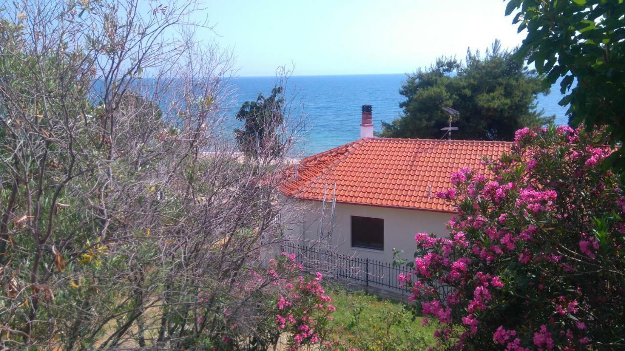 Maisonette Close To The * ניקיטי